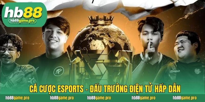 HB88 38 Cá cược eSports – Đấu trường điện tử hấp dẫn