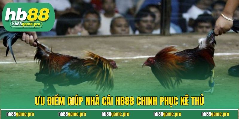 Đá Gà HB88 - Trải Nghiệm Sảnh Chơi Đẹp Mắt, Uy Tín Hàng Đầu 3 Ưu điểm giúp nhà cái HB88 chinh phục kê thủ